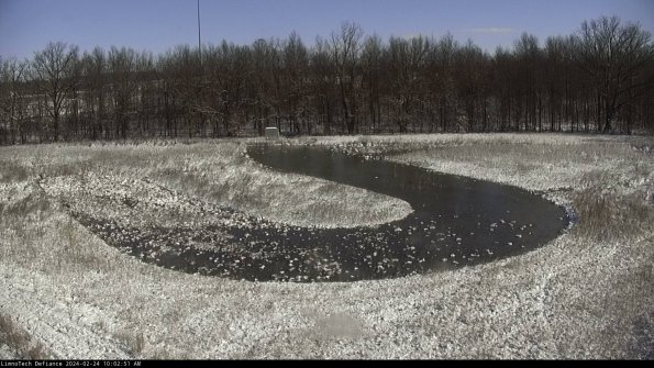 Cell 4_24-02-24_10-02-51-92