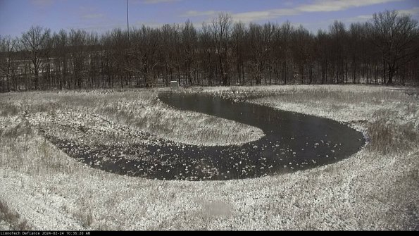 Cell 4_24-02-24_10-36-20-94