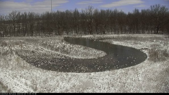 Cell 4_24-02-24_11-43-18-94