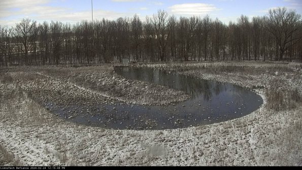 Cell 4_24-02-24_12-16-48-92