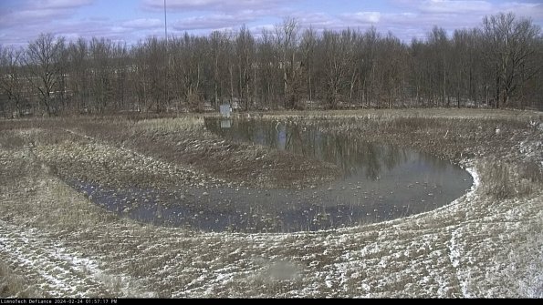 Cell 4_24-02-24_13-57-17-91