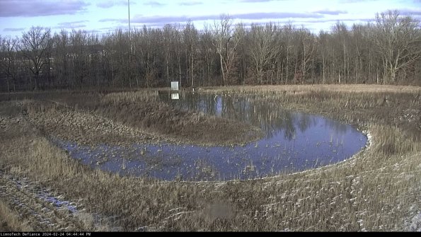 Cell 4_24-02-24_16-44-44-92