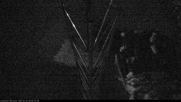 Hatch_24-02-24_20-40-50-94