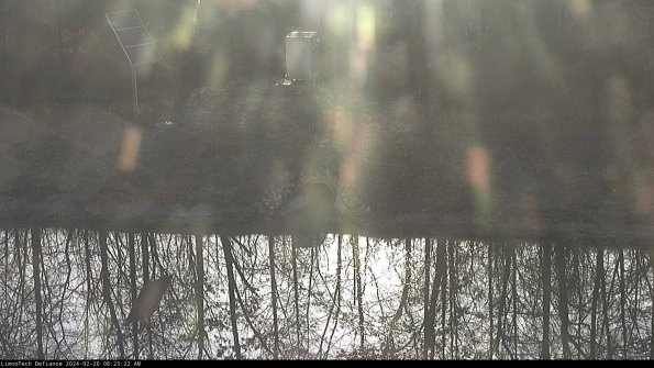 Basin Inflow_24-02-26_08-23-23-18