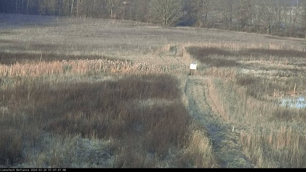 Cell 1 to 2_24-02-26_07-47-47-90