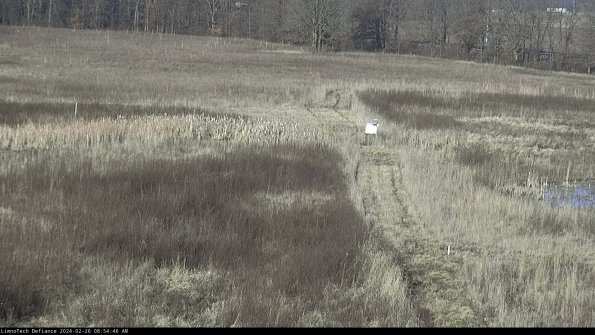 Cell 1 to 2_24-02-26_08-54-46-93