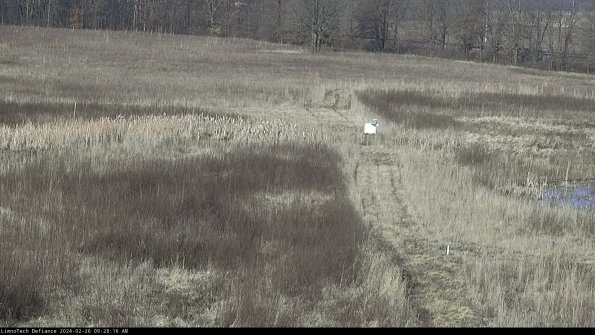 Cell 1 to 2_24-02-26_09-28-16-92