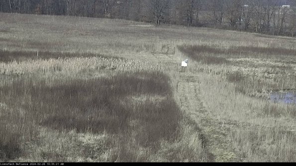 Cell 1 to 2_24-02-26_10-35-21-93