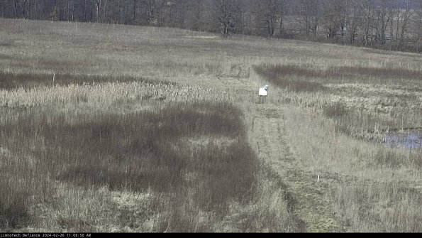 Cell 1 to 2_24-02-26_11-08-50-95