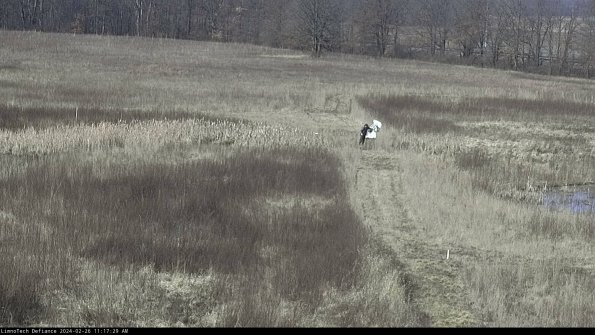 Cell 1 to 2_24-02-26_11-17-29-44