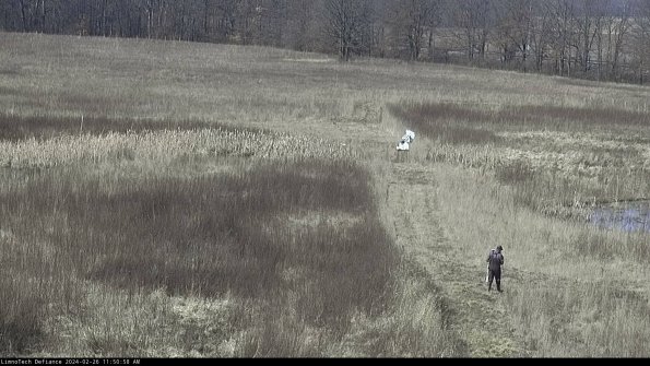 Cell 1 to 2_24-02-26_11-50-58-43