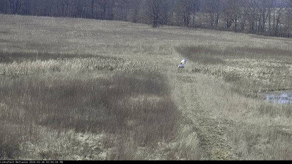 Cell 1 to 2_24-02-26_14-04-56-41