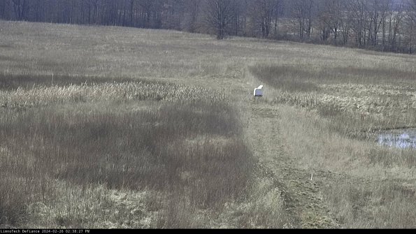 Cell 1 to 2_24-02-26_14-38-27-43