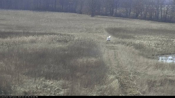 Cell 1 to 2_24-02-26_16-18-56-42