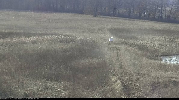 Cell 1 to 2_24-02-26_16-52-25-41