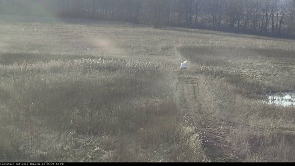 Cell 1 to 2_24-02-26_17-25-54-43