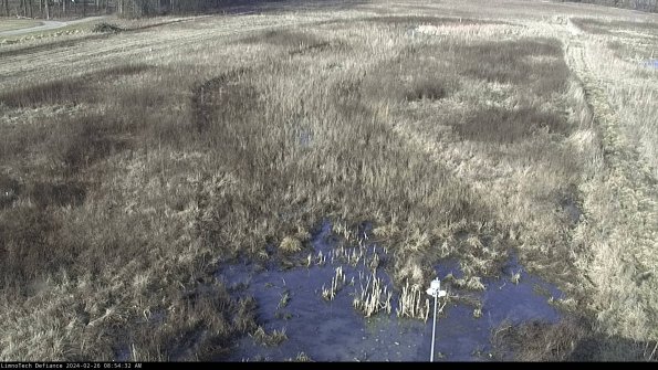 Cell 1_24-02-26_08-54-32-95