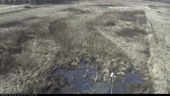 Cell 1_24-02-26_10-35-07-91