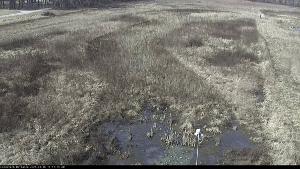 Cell 1_24-02-26_11-17-15-43