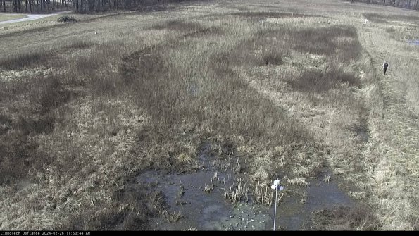 Cell 1_24-02-26_11-50-44-41