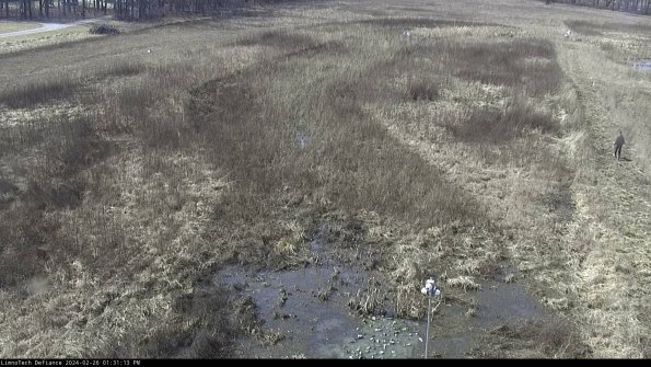 Cell 1_24-02-26_13-31-13-44