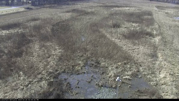 Cell 1_24-02-26_14-04-42-43