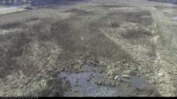 Cell 1_24-02-26_14-38-13-42