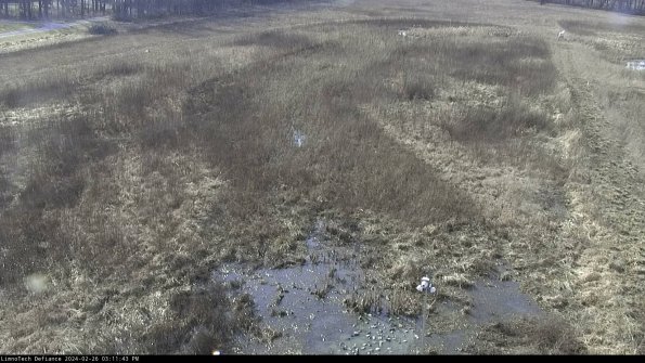 Cell 1_24-02-26_15-11-43-44