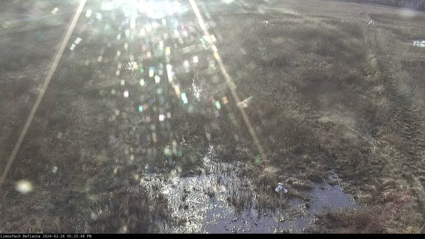 Cell 1_24-02-26_17-25-40-42