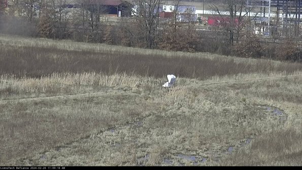 Cell 2 to 3_24-02-26_11-09-17-11