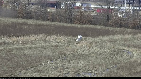 Cell 2 to 3_24-02-26_11-17-55-47