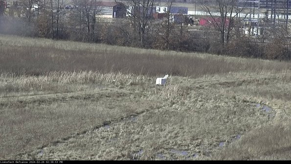 Cell 2 to 3_24-02-26_14-38-53-62