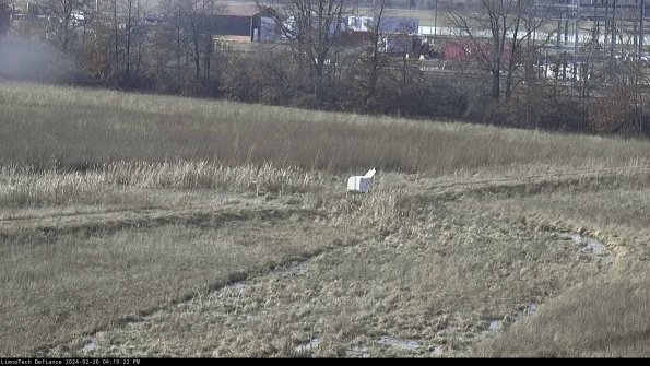 Cell 2 to 3_24-02-26_16-19-22-45