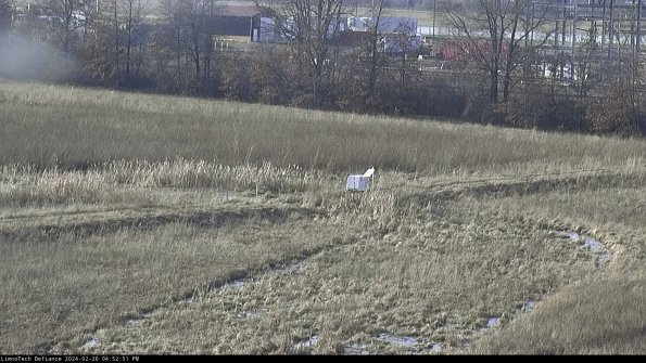 Cell 2 to 3_24-02-26_16-52-51-60