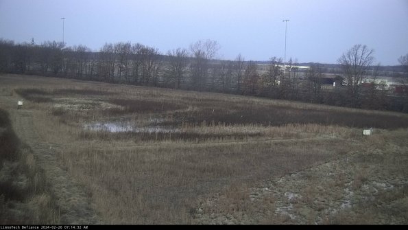 Cell 2_24-02-26_07-14-32-97