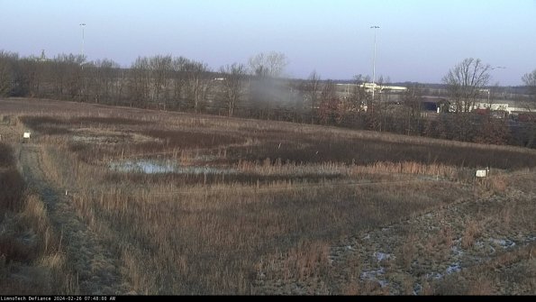 Cell 2_24-02-26_07-48-01-05