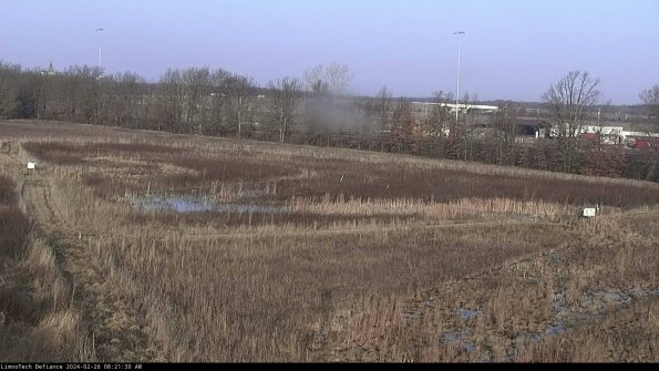 Cell 2_24-02-26_08-21-30-96