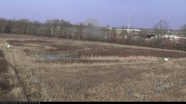 Cell 2_24-02-26_08-54-59-98