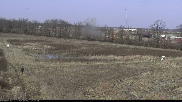 Cell 2_24-02-26_11-09-03-99