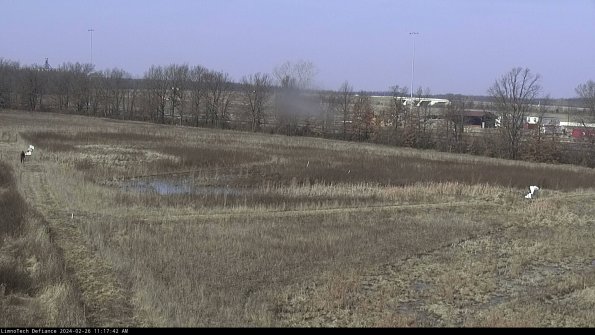 Cell 2_24-02-26_11-17-42-45