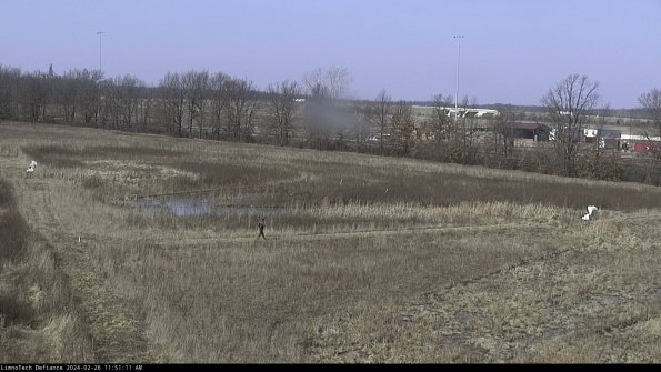 Cell 2_24-02-26_11-51-11-44