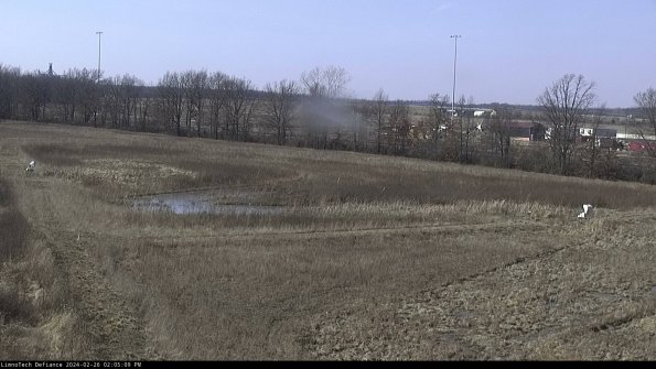 Cell 2_24-02-26_14-05-09-45