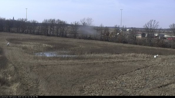 Cell 2_24-02-26_14-38-40-44