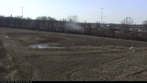 Cell 2_24-02-26_16-19-09-44