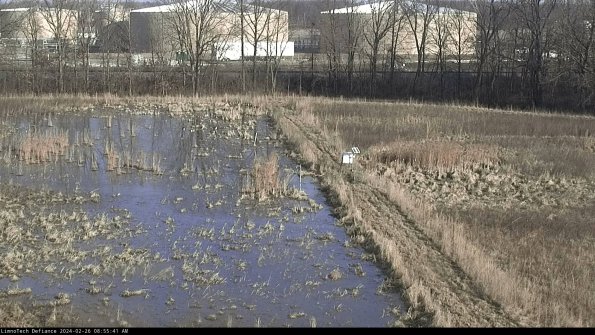 Cell 3 to 4_24-02-26_08-55-41-92