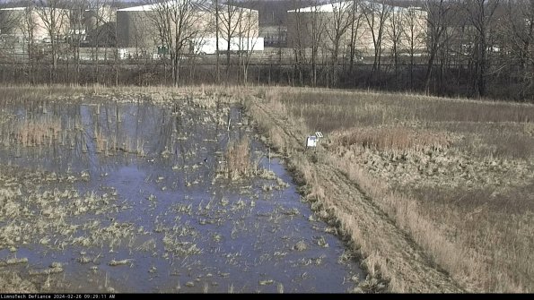 Cell 3 to 4_24-02-26_09-29-11-94