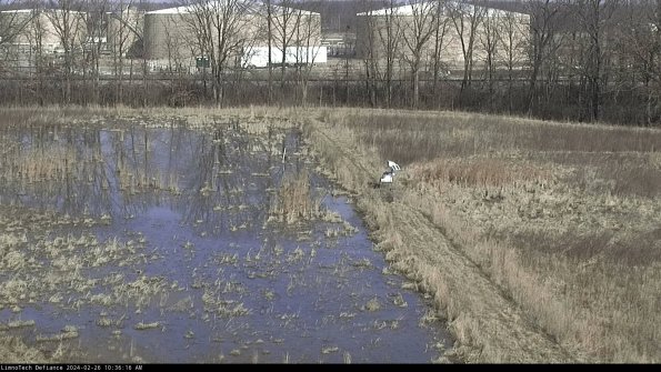 Cell 3 to 4_24-02-26_10-36-16-92