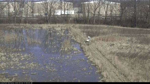 Cell 3 to 4_24-02-26_11-09-45-94