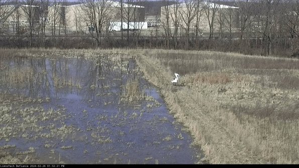 Cell 3 to 4_24-02-26_13-32-21-41