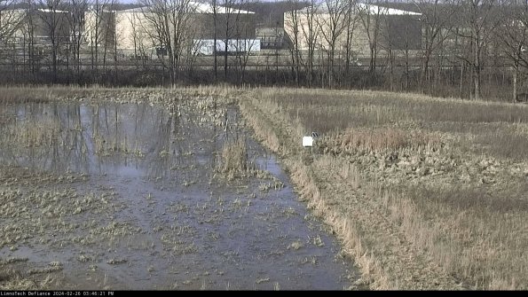 Cell 3 to 4_24-02-26_15-46-21-42